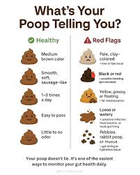 Image result for dark black stool human poop