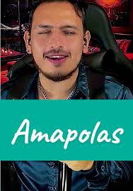✨💚Amapolas💚✨. #leorizzi #amapola #viral_video #colombia #davidthevoice