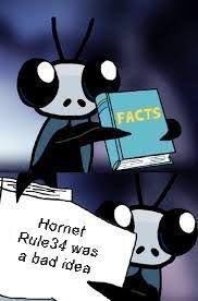 Maybe you would like to learn more about one of these? Sly S Book Of Facts Hollow Knight Know Your Meme