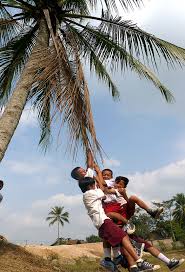 Dibukukan pada tahun 1958 untuk dijadikan sebagai rujukan apabila mengadakan sesuatu majlis yang beradat istiadat. Pin On Daily Life