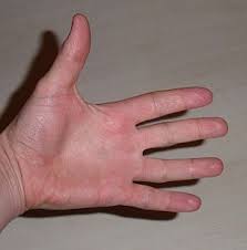 English to urdu translation with meaning & roman urdu , definition, antonyms, idoms & synonyms. Ring Finger Wiktionary