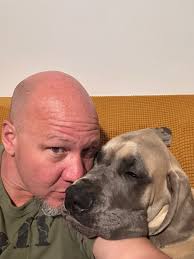 Great Dane Attached to Owner