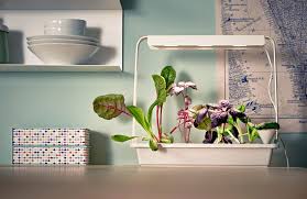 Fur Einen Gruneren Alltag Neues Hydrokultursystem Von Ikea Unhyped Gartnern Auf Kleinem Raum Hydrokultur Garten Ikea