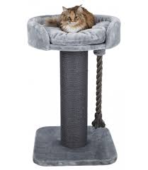 Arbre à chat XXL "Klara" - Trixie : achat / vente arbre à chat sur  jaiplusdecroquettes.com