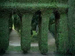temple de diane sculpture vegetale selon un modele de claude nicolas ledoux c claudeartaud aux jardins de la ballue tree landscape plants