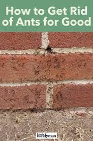 Keeps animals from entering your home through the gutter cleaning & gutter guard installation. Gsggs Ihg5 Lgm