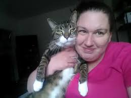 Found cat in Alpine Village area