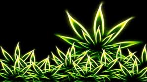 There are 83 alien trippy weed wallpapers published on this page. Weed Black Walpaper Weed Backgrounds Trippy Weed Backgrounds Hd 2560x1440 Wallpaper Teahub Io