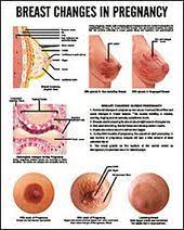 Very Early Pregnancy Signs