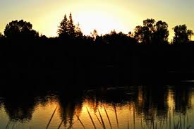 Sunrise In The Park And A Liebster Award Sunrise Park Outdoor