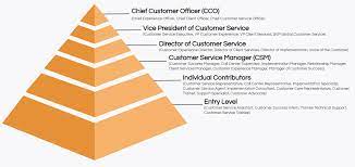 Executive directors provide leadership and guidance for an organization. Job Titles The Definitive Guide Ongig