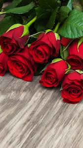 Flowers에 있는 Aidarafida님의 핀 유화 꽃 꽃 사진 꽃