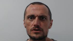 Drug addict who 'shamelessly exploited' the generosity of a father-of-three  and strangled him to death before stealing his Labradoodle is jailed for 19  years