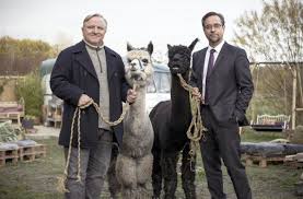 Du fällst auch jeden sonntagabend fast vor lachen von deiner couch, wenn der tatort aus münster kommt? Starke Quote Fur Munster Tatort Alles Munster