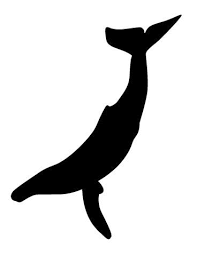 This whale jumps from out of the ocean, near a wharf in england i think, it seemed like england but im not sure as i have never been to england, but the whale jumps so high almost to the moon, and i was thinking this is so impossible , why is it happening, then he starts falling flat, not like a dive but flat, and goes into this tiny hole in. 19 Pictures Of Whales Ideas Whale Sea Creatures Animals
