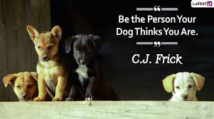 Those celebrating can mark the day by sharing quotes and. 59 Hq Images International Pet Day 2020 Quotes National Dog Day 2020 Wishes Quotes Message Shayari Status Filmactorworld