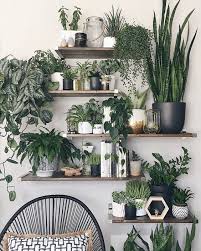 House plants wall decor in boho living room. 32 Inspiring Wall Plant Decorations For Your Living Room Molitsy Blog