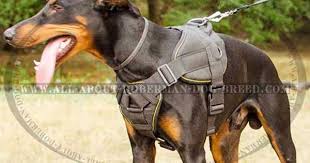 Pin On Doberman Dog Harnesses