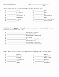 Polymer what is a macromolecule? Macromolecules Worksheet 2 Answers Awesome 1000 Images About Biology Macromolecules On Pinterest In 2020 Biology Worksheet Macromolecules Chemistry Worksheets