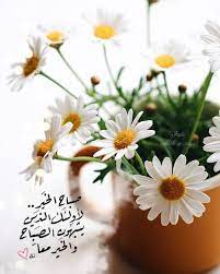 صبح و مساء on instagram صباح الخير لأولئك الذين يشبهون الصباح والخير معا صباح in 2021 flowers photography beautiful flowers daisy flower
