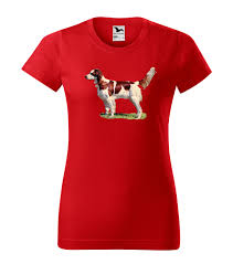 Image result for irský červenobílý setr