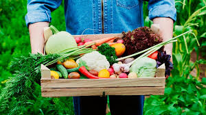 Icono de Alimentación