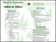 sativa vs indica