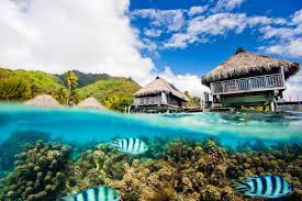 Whether choosing from our packaged vacations or customizing your own, extraordinary service and exceptional value are just a call or click away. Tahiti Erlebt Das Sudseeparadies Urlaubsguru