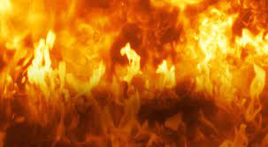 · get 15 free explosion elements and 25 explosive sound effects for your next video. Footagecrate Free Video Effects The Best Hd 4k Vfx