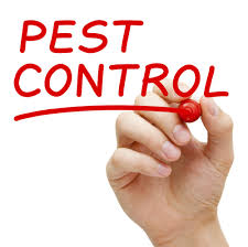 This may sound like a really simple solution; Does Organic Pest Control Work In Offices News Ch