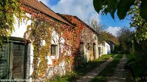 Encuentra y reserva alojamientos únicos en airbnb. Steinbergweg Niederkreuzstetten Naturlehrpfad Inklusive