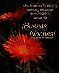 Buenas Noches Good Night Movie Posters Night