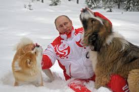 Russian president vladimir putin (l) with his dog yume greets japanese prime minister shinzo vladimir putin, former president and current prime minister of russia, has a softer side: What S With World Leaders Giving Vladimir Putin Puppies As Gifts The Washington Post