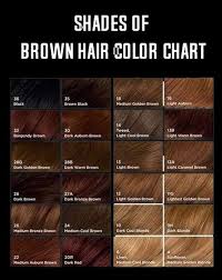 Shades Of Brown Hair Color Brown Hair Shades Golden Brown