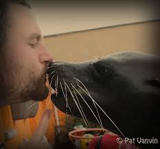 🎁 Joyeux anniversaire 🎂 7 ans que notre petit Ferdinand a pointé le bout  de son museau ici au parc. Depuis ce jour là, il ne cesse de nous épater  chaque jour.