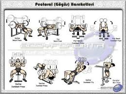 Gogus Hareketleri Ile Ilgili Gorsel Sonucu Vucut Gelistirme Fitness Egzersizleri Gogus