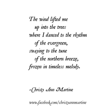 Pin By Angela Stoll On A Walk In Winter Winter Poems Snow Poems Nature Poem