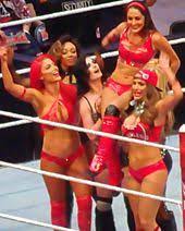Match according to the rules 2 out of 3 falls. Paige Wrestler Wikipedia