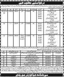 We offer training, a fantastic benefits package, pension, uniforms and additional attractive compensations. Jail Police Warden Jobs 2021 Kpk Seats Eligibility Application Forms Submission Last Date