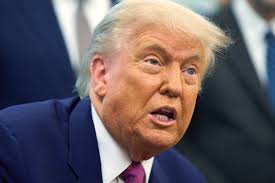 Lyons woman accused of biting Wayne County deputy during trespassing arrest