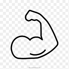 These contract and expand and are kept together with the ligaments. Muscle Drawing Coloring Book Biceps Muscular System Muscle Arm Love White Png Pngegg