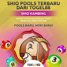 Telah Hadir Kami Menghadirkan Pasaran Shio Terbaru Shio Toto Kambing Setiap Pukul 15 30 Wib Live Langsung Di 12shiototo Com Ayo Pasang Sekarang Kambing Shio