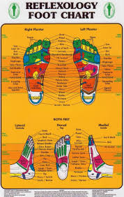 Foot Reflexology Chart Pacific Institute