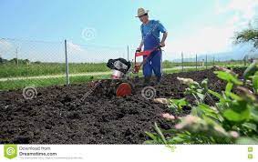 Arando O Solo Com O Estrume Pronto Para Vegetais Da Planta Filme Video De Jardinar Rural 78784486