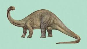 We did not find results for: 5 Dinosaurus Paling Mencuri Perhatian Di Jurassic World Fallen Kingdom Tabloidbintang Com