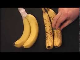 Frischhaltetrick Fur Bananen I Die Lagerung Macht Den Unterschied Youtube Fondant Figuren Einfach Essen Praktische Tipps