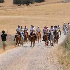 Esta mañana me han comunicado el fallecimiento del **Al-Garbe**, el caballo  tordo de los ojos azules de **Pilar Sánchez** de la ganadería de **Pedro  Afán de Rivera**, Caballo que marcó una gran