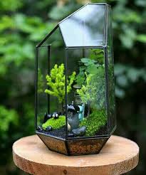 100 Stunning Bonsai Terrarium For Miniature Landscaping In The Jars Https Decomg Com Stunning Bonsai Terrarium Minia Glass Terrarium Terrarium Terrarium Jar