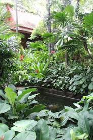 A Pond In The Rear Garden Is Surrounded By Lush Foliage Tropical Landscaping Tropical Garden Small Tropical Gardens