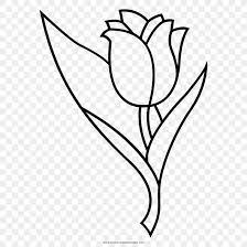 The image is transparent png format with a resolution of 3657x8000 pixels, suitable for design use and personal projects. Floral Design Tulip Drawing Flower Coloring Book Png 1000x1000px Floral Design Area Art Artwork Black Download
